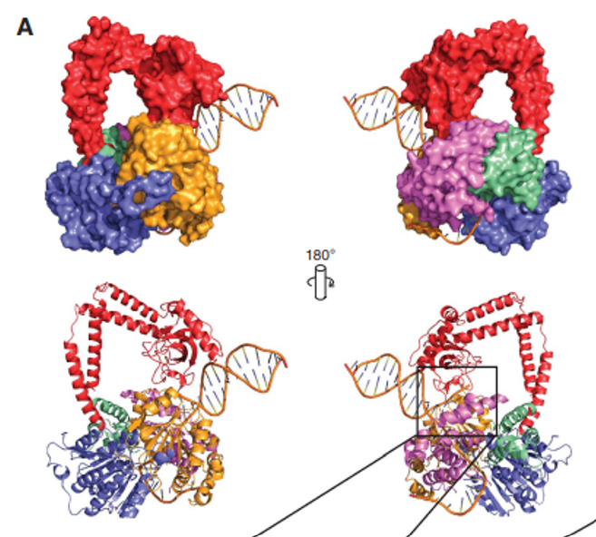 publication illustration